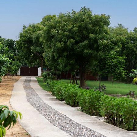 Stayvista At Idyllic Farmhouse - A Glasshouse With Outdoor Pool Gurgaon Exterior foto